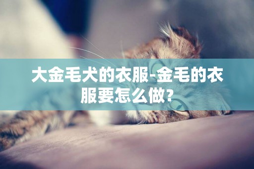 大金毛犬的衣服-金毛的衣服要怎么做？