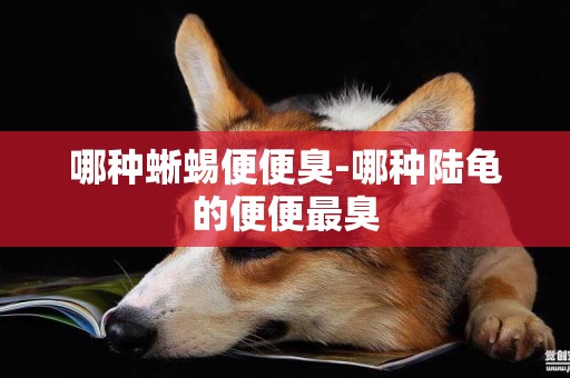 哪種蜥蜴便便臭-哪種陸龜的便便最臭