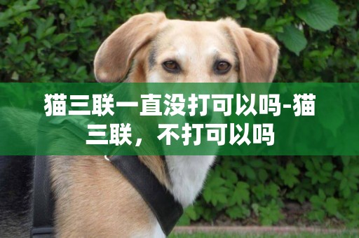 貓三聯一直沒打可以嗎-貓三聯，不打可以嗎