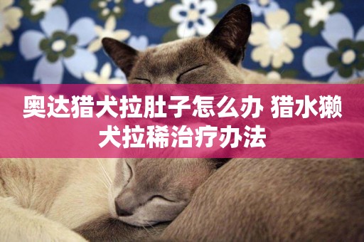 奧達獵犬拉肚子怎么辦 獵水獺犬拉稀治療辦法