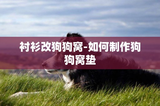 襯衫改狗狗窩-如何制作狗狗窩墊