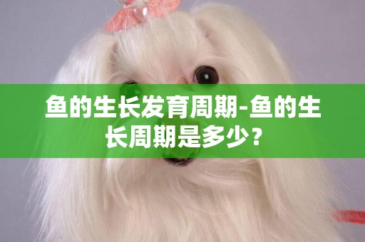 魚的生長發育周期-魚的生長周期是多少？