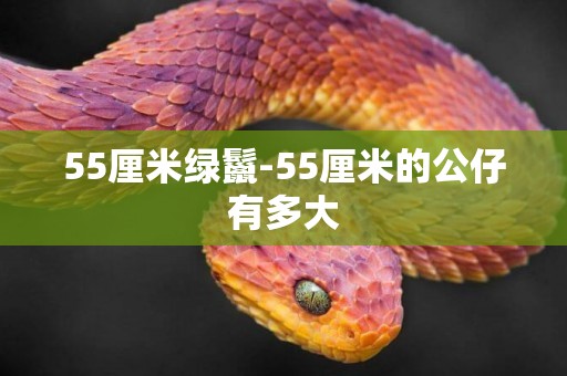 55厘米綠鬣-55厘米的公仔有多大