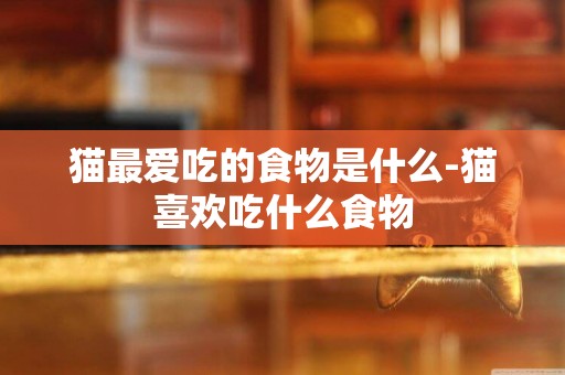 貓最愛吃的食物是什么-貓喜歡吃什么食物