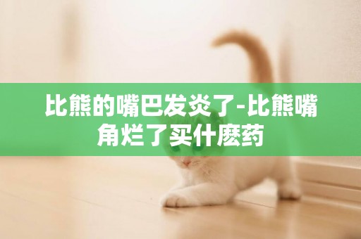 比熊的嘴巴發炎了-比熊嘴角爛了買什麼藥