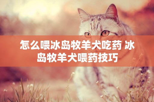 怎么喂冰島牧羊犬吃藥 冰島牧羊犬喂藥技巧