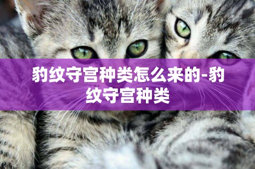 豹紋守宮種類怎么來的-豹紋守宮種類