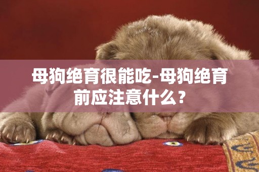 母狗絕育很能吃-母狗絕育前應注意什么？