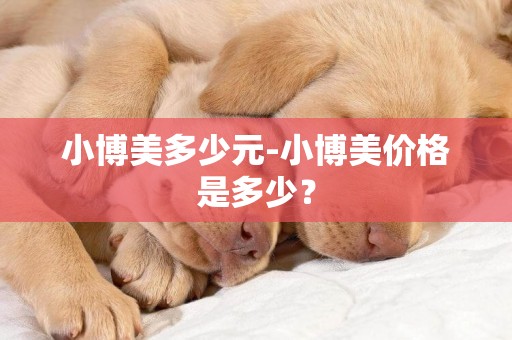小博美多少元-小博美價格是多少？