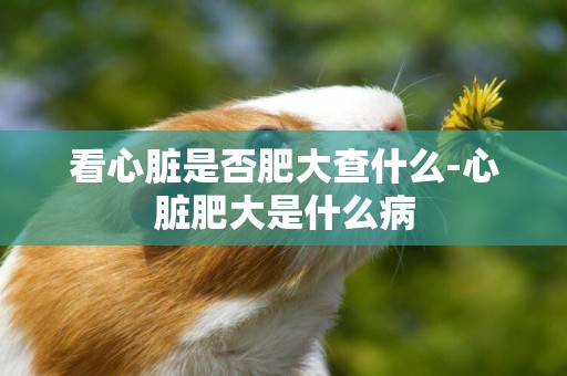 看心臟是否肥大查什么-心臟肥大是什么病