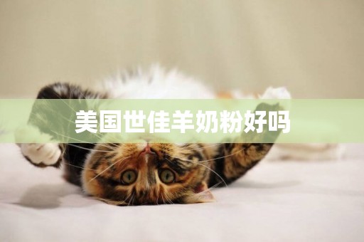 美國世佳羊奶粉好嗎