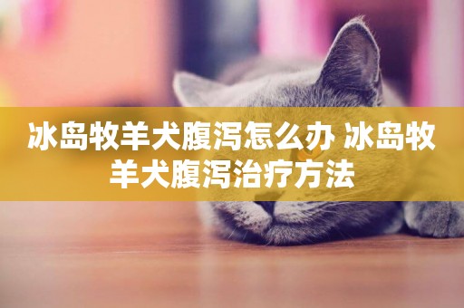 冰島牧羊犬腹瀉怎么辦 冰島牧羊犬腹瀉治療方法