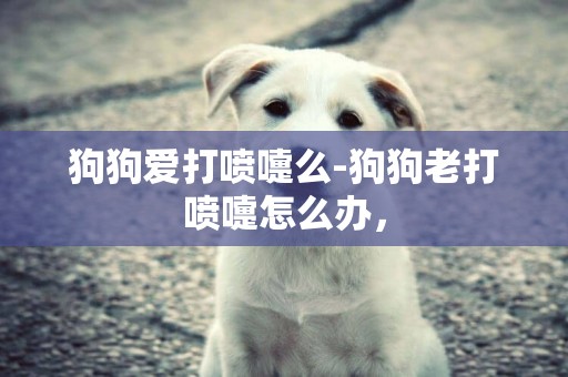 狗狗愛打噴嚏么-狗狗老打噴嚏怎么辦，