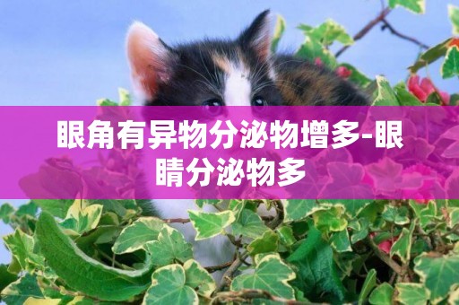 眼角有異物分泌物增多-眼睛分泌物多