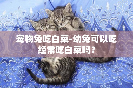 寵物兔吃白菜-幼兔可以吃經常吃白菜嗎？