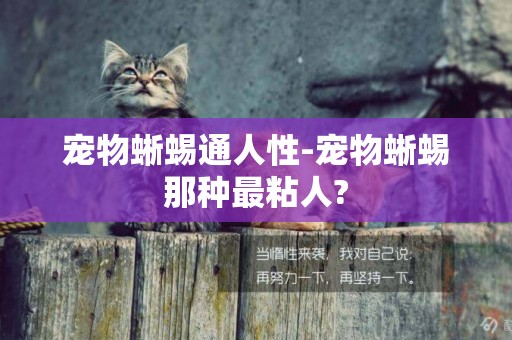 寵物蜥蜴通人性-寵物蜥蜴那種最粘人?