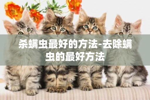 殺螨蟲最好的方法-去除螨蟲的最好方法