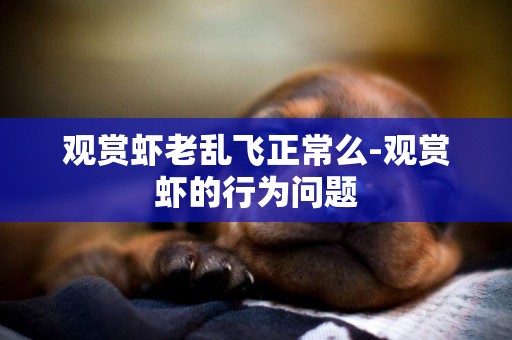 觀賞蝦老亂飛正常么-觀賞蝦的行為問題