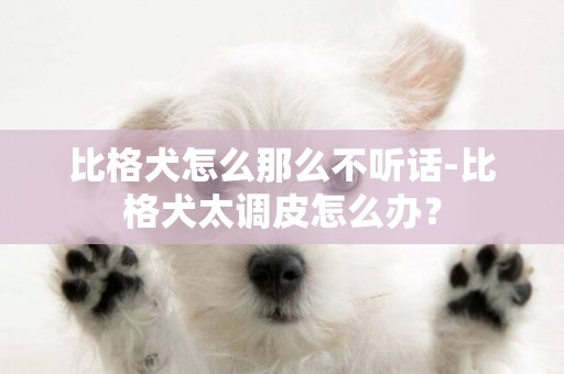 比格犬怎么那么不聽話-比格犬太調皮怎么辦？