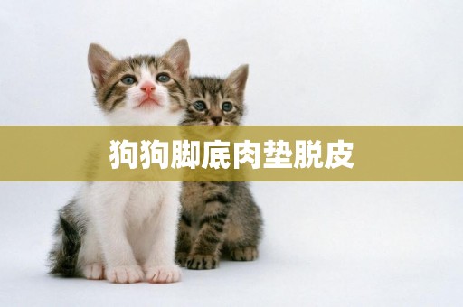 狗狗腳底肉墊脫皮