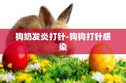 狗奶發炎打針-狗狗打針感染