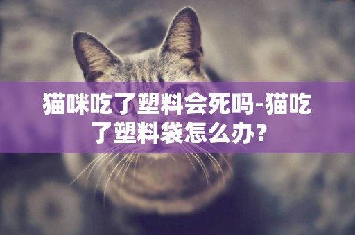貓咪吃了塑料會死嗎-貓吃了塑料袋怎么辦？