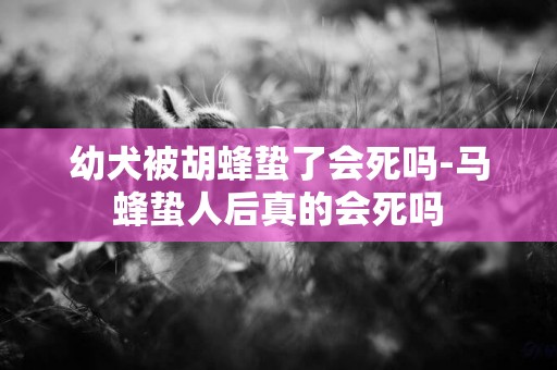 幼犬被胡蜂蟄了會死嗎-馬蜂蟄人后真的會死嗎