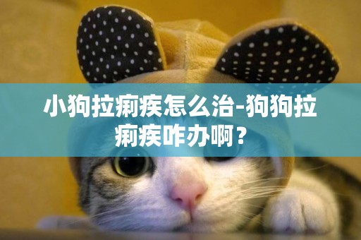 小狗拉痢疾怎么治-狗狗拉痢疾咋辦啊？