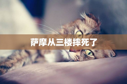 薩摩從三樓摔死了