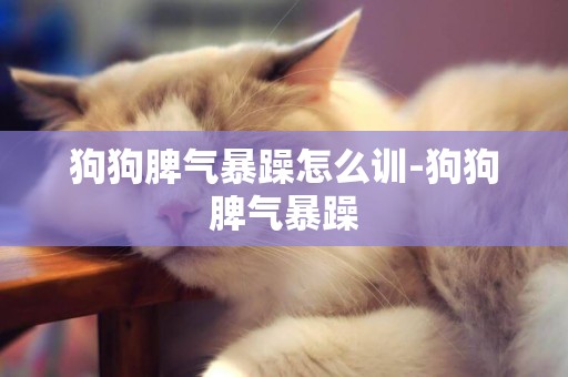 狗狗脾氣暴躁怎么訓-狗狗脾氣暴躁