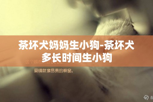 茶壞犬媽媽生小狗-茶壞犬多長時間生小狗