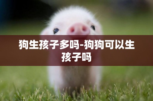 狗生孩子多嗎-狗狗可以生孩子嗎
