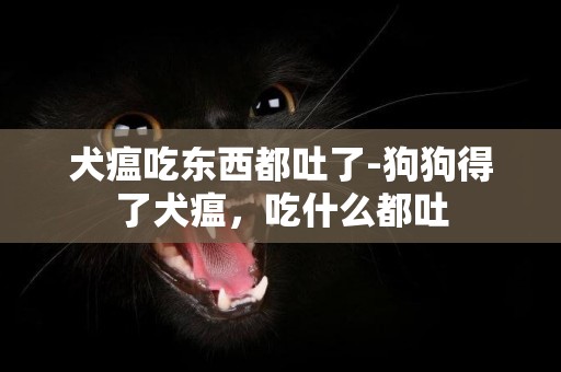 犬瘟吃東西都吐了-狗狗得了犬瘟，吃什么都吐