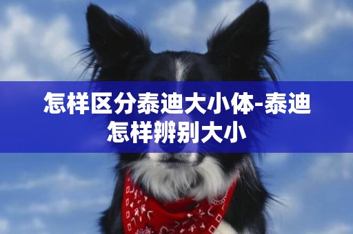 怎樣區分泰迪大小體-泰迪怎樣辨別大小