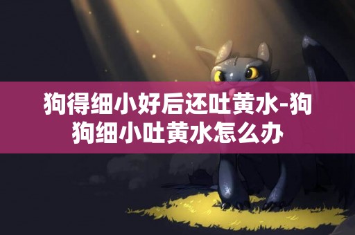 狗得細小好后還吐黃水-狗狗細小吐黃水怎么辦