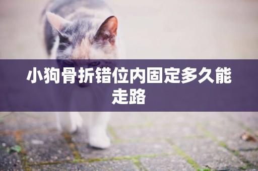 小狗骨折錯位內固定多久能走路