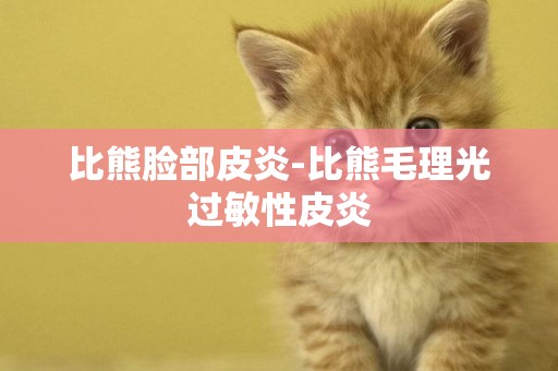 比熊臉部皮炎-比熊毛理光過敏性皮炎