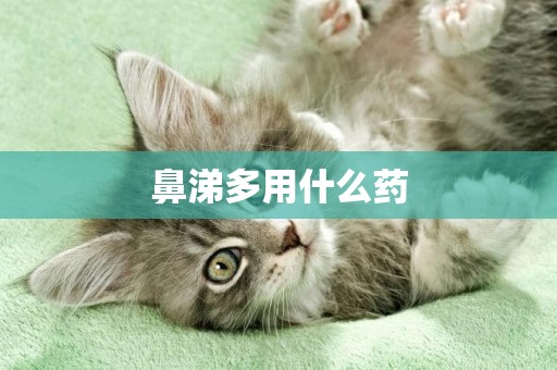 鼻涕多用什么藥