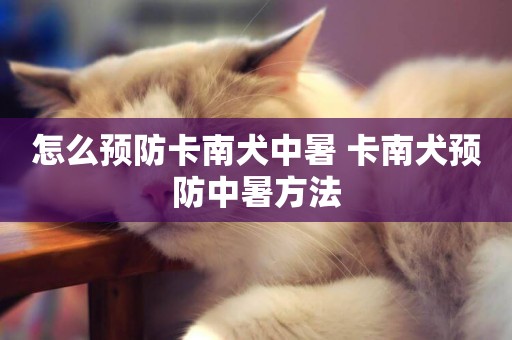 怎么預防卡南犬中暑 卡南犬預防中暑方法