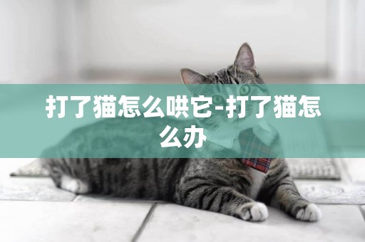 打了貓怎么哄它-打了貓怎么辦