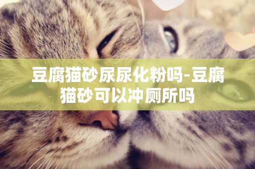 豆腐貓砂尿尿化粉嗎-豆腐貓砂可以沖廁所嗎