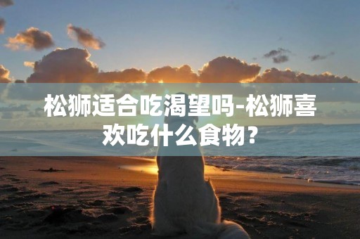松獅適合吃渴望嗎-松獅喜歡吃什么食物？