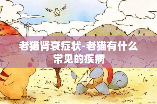 老貓腎衰癥狀-老貓有什么常見的疾病