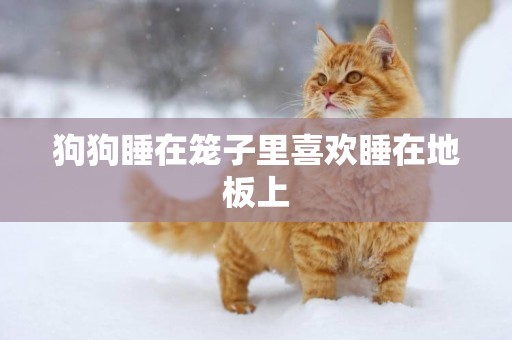 狗狗睡在籠子里喜歡睡在地板上