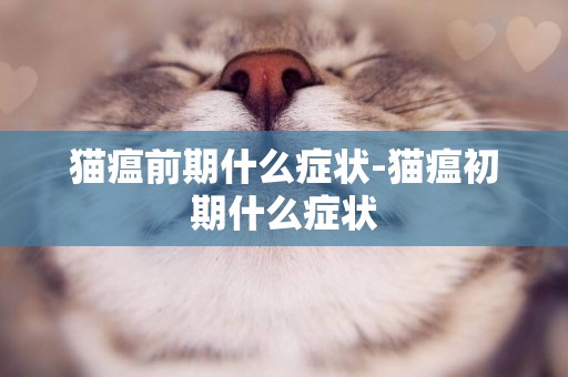 貓瘟前期什么癥狀-貓瘟初期什么癥狀