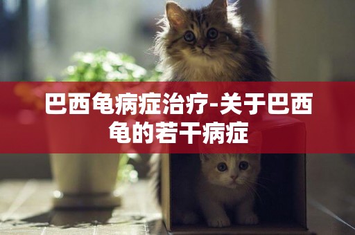 巴西龜病癥治療-關于巴西龜的若干病癥