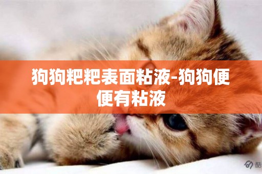 狗狗粑粑表面粘液-狗狗便便有粘液