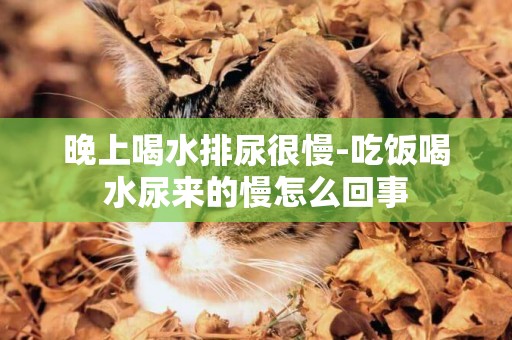 晚上喝水排尿很慢-吃飯喝水尿來的慢怎么回事