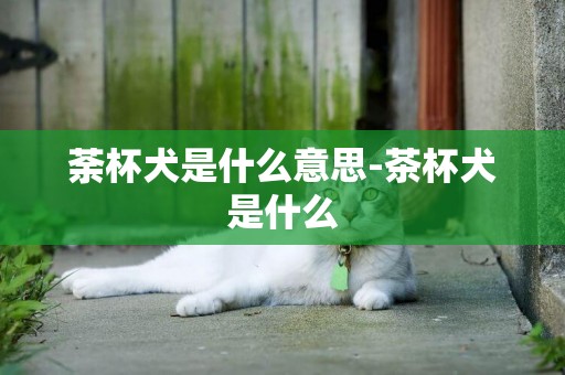 荼杯犬是什么意思-茶杯犬是什么