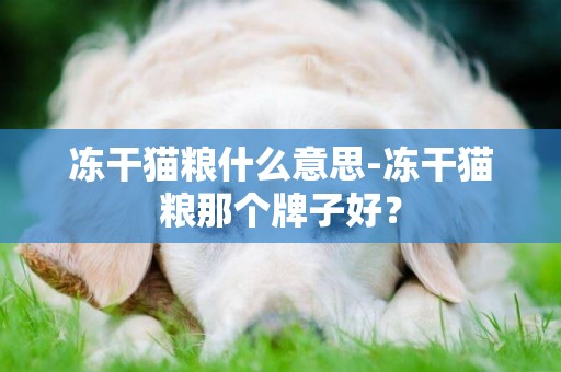 凍干貓糧什么意思-凍干貓糧那個牌子好？